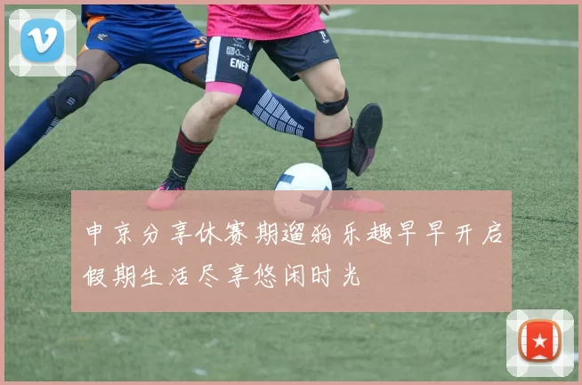 申京分享休赛期遛狗乐趣早早开启假期生活尽享悠闲时光