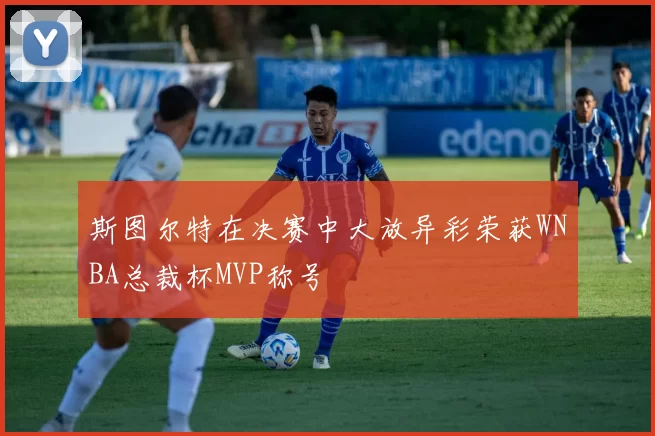 斯图尔特在决赛中大放异彩荣获WNBA总裁杯MVP称号