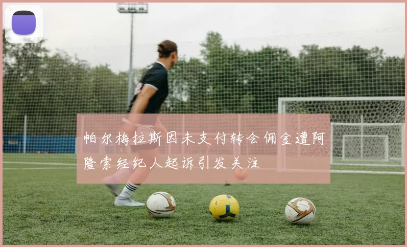 帕尔梅拉斯因未支付转会佣金遭阿隆索经纪人起诉引发关注